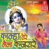 Main Barsane Ki Chhori Krishan Bhajan Mp3 Song Download Banner