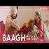 Baagh - Amrinder Gill Banner
